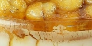 cropped-Sobremesa-de-bananas-caramelizadas-Uma-receita-divina-1.png